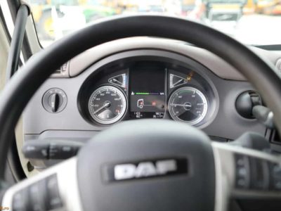 Autobasculanta DAF CF450 FAD